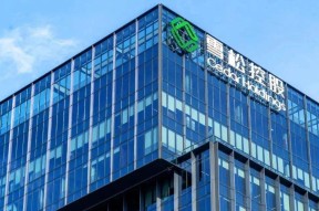 中欧体育 -德甲法兰克福官网